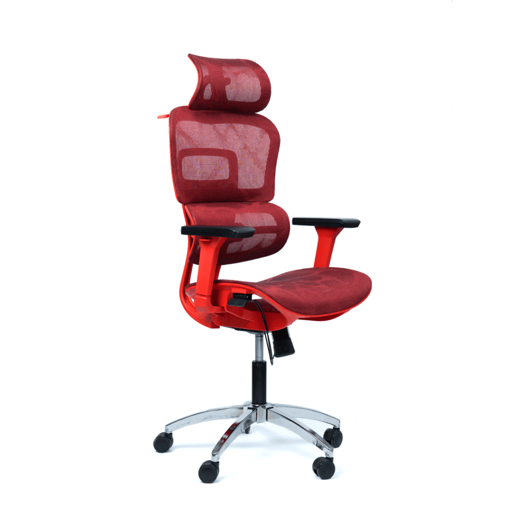 Ergomax Chair - Image 6