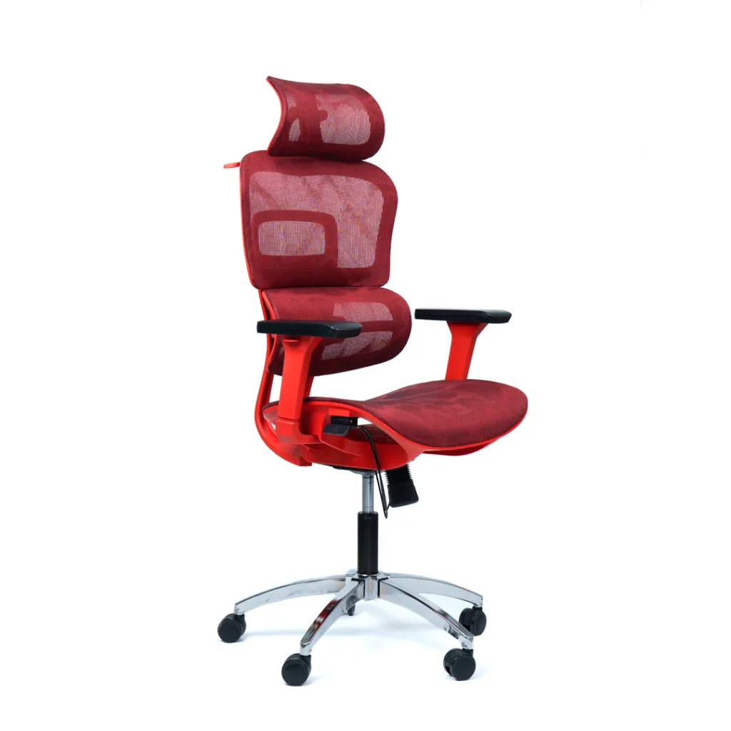 Chaise Ergomax – Image 13