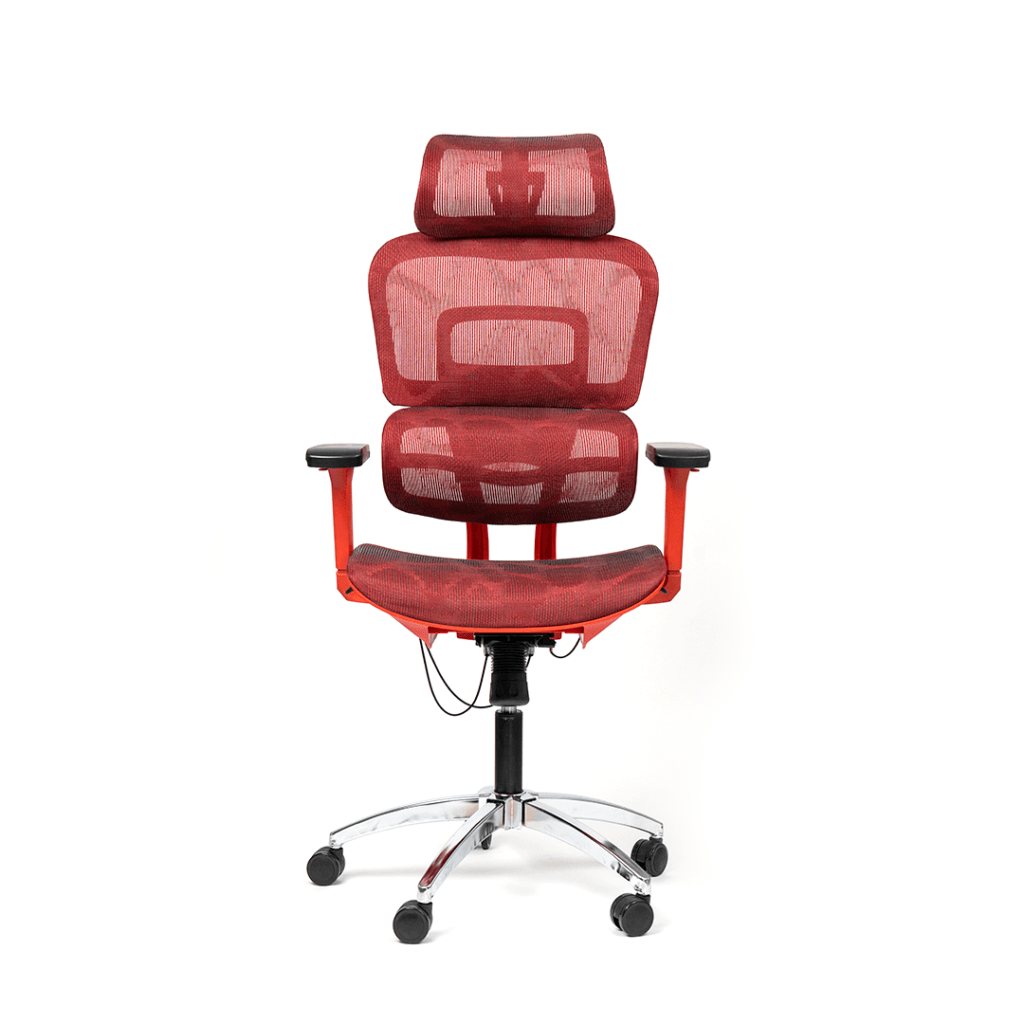 Ergomax Chair - Image 9