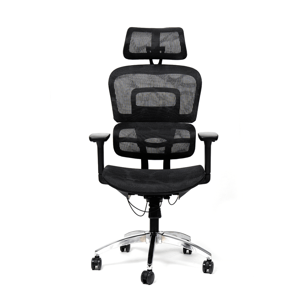 Ergomax Chair - Image 2