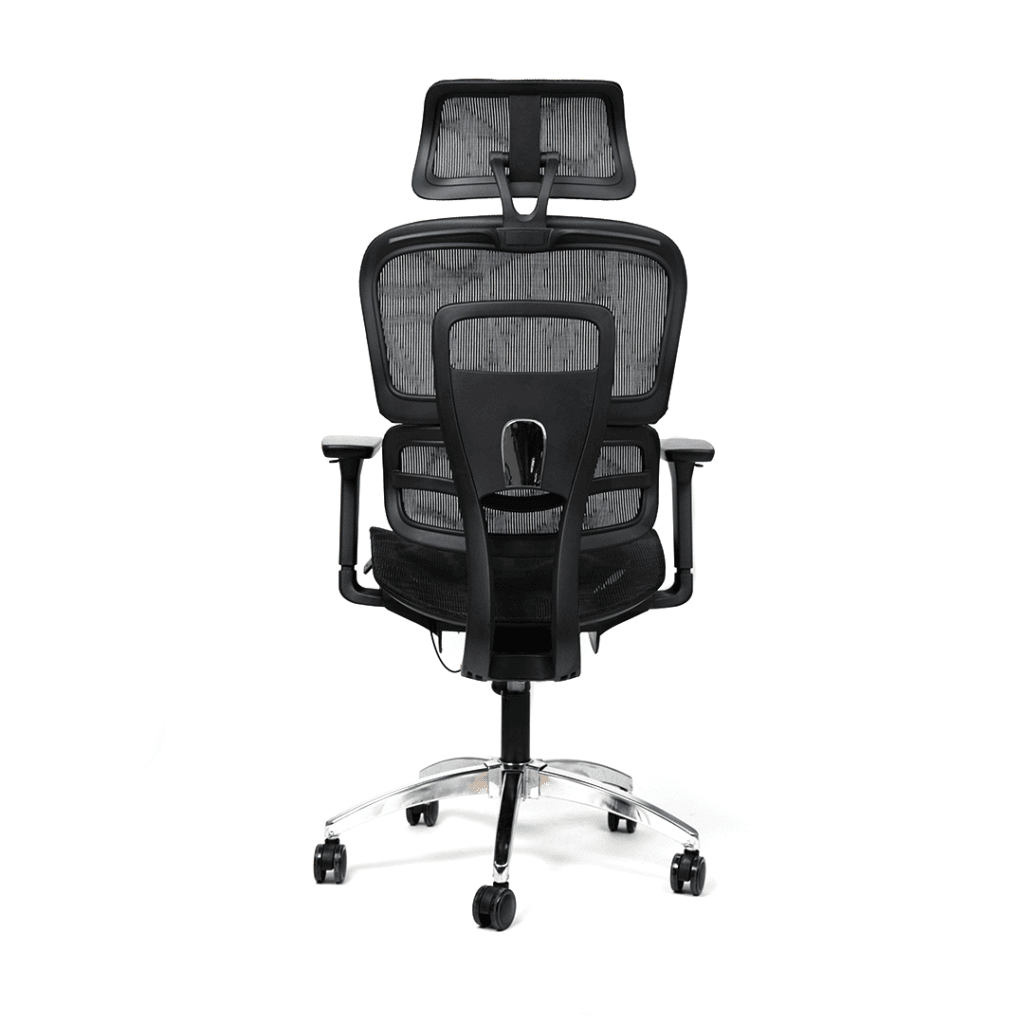 Ergomax Chair - Image 3