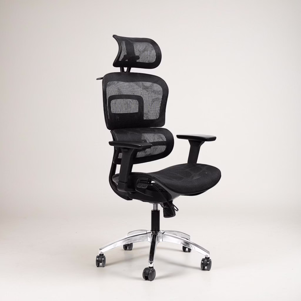 Chaise ergomax