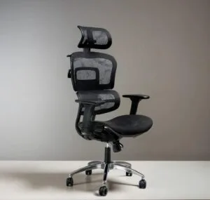 Chaise Ergomax
