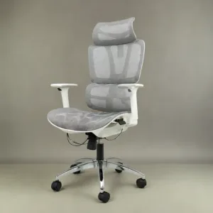 Chaise ErgoLite