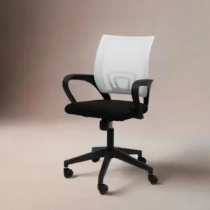 Atlanta Chair (White Back )